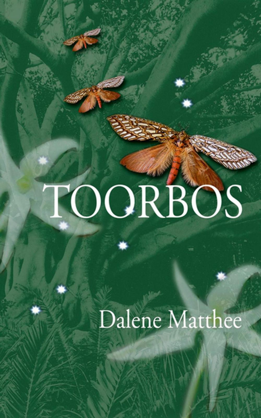 Big bigCover of Toorbos