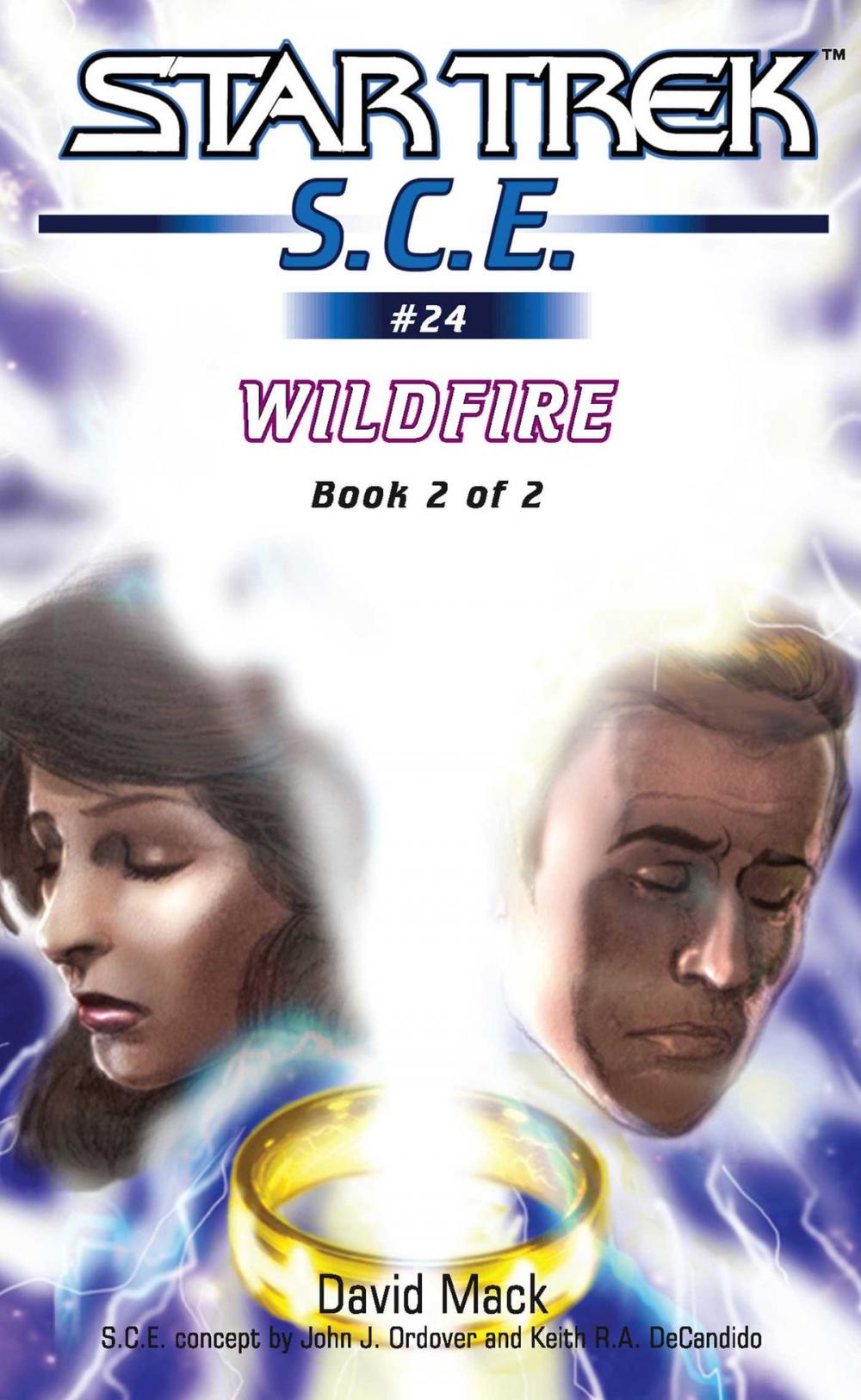 Big bigCover of Wildfire Book 2