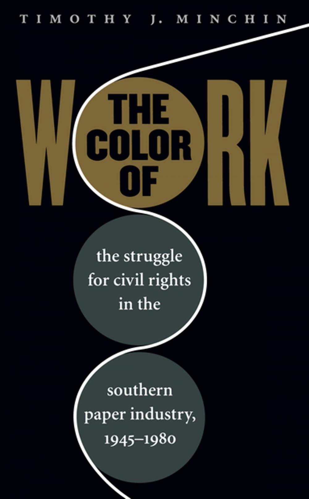 Big bigCover of The Color of Work