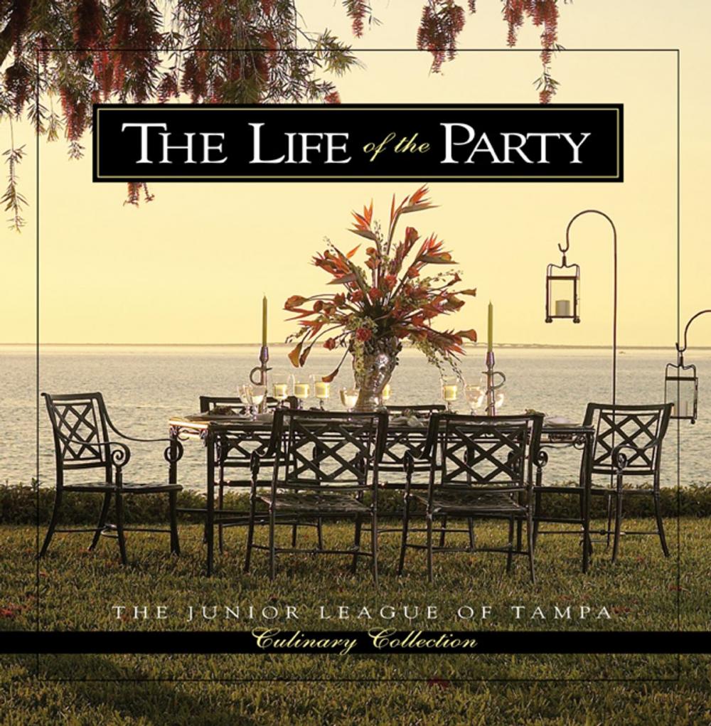 Big bigCover of The Life of the Party