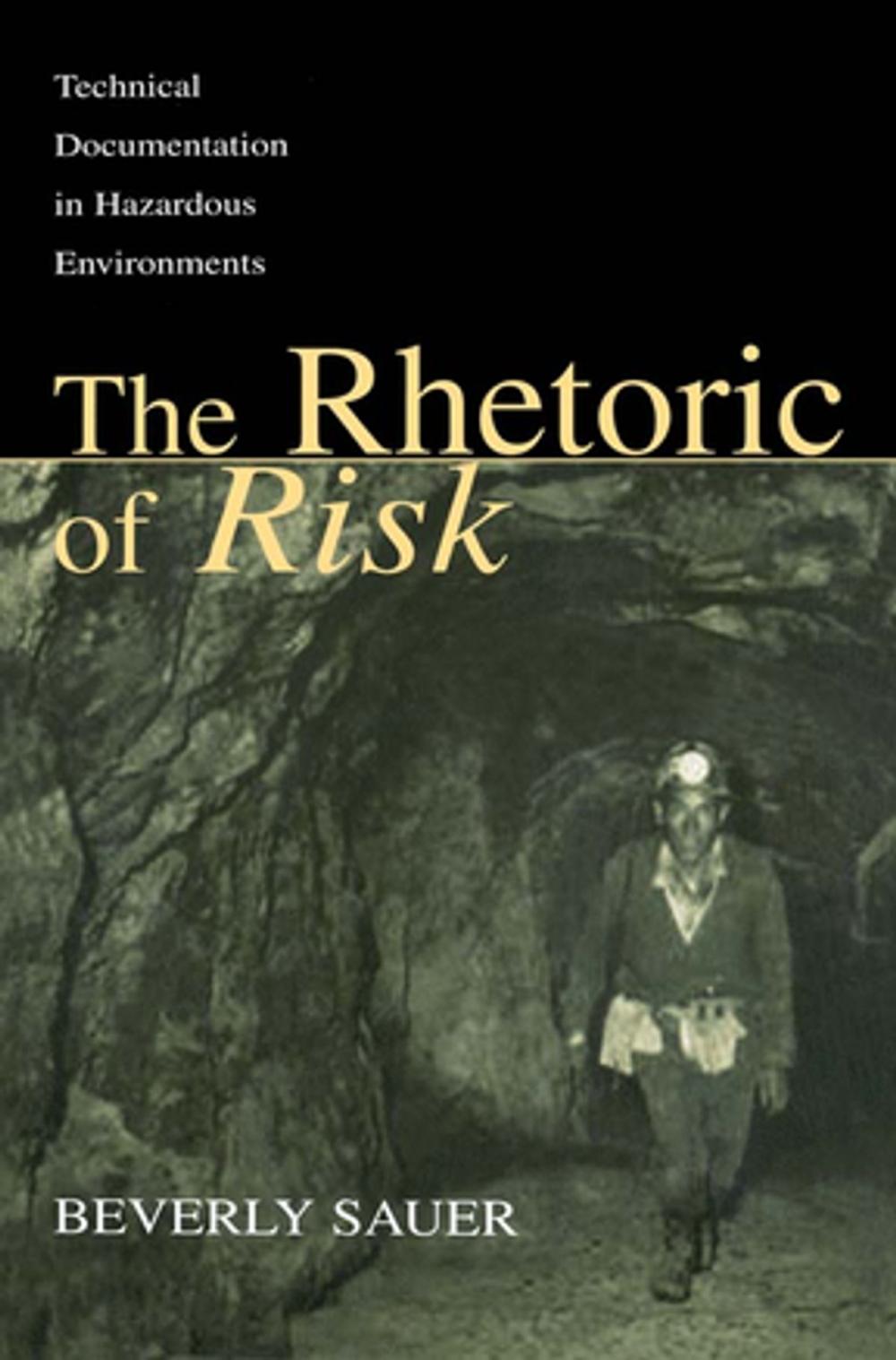 Big bigCover of The Rhetoric of Risk