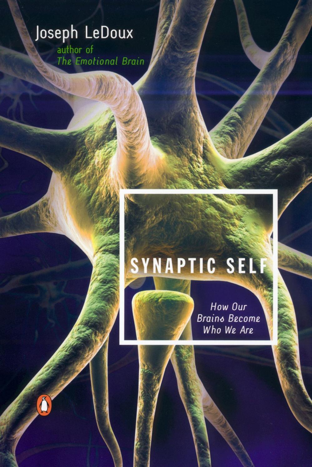 Big bigCover of Synaptic Self