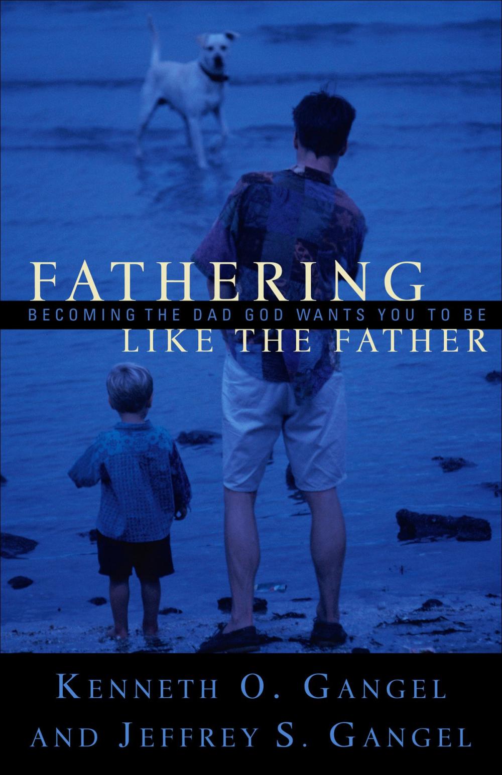 Big bigCover of Fathering Like the Father