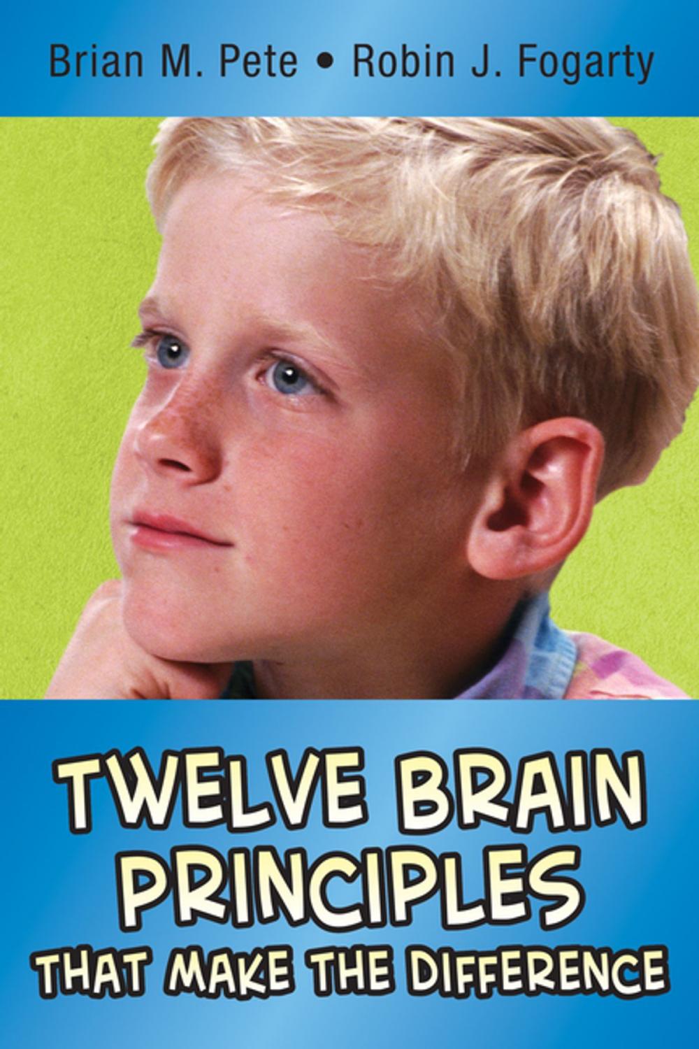 Big bigCover of Twelve Brain Principles That Make the Difference