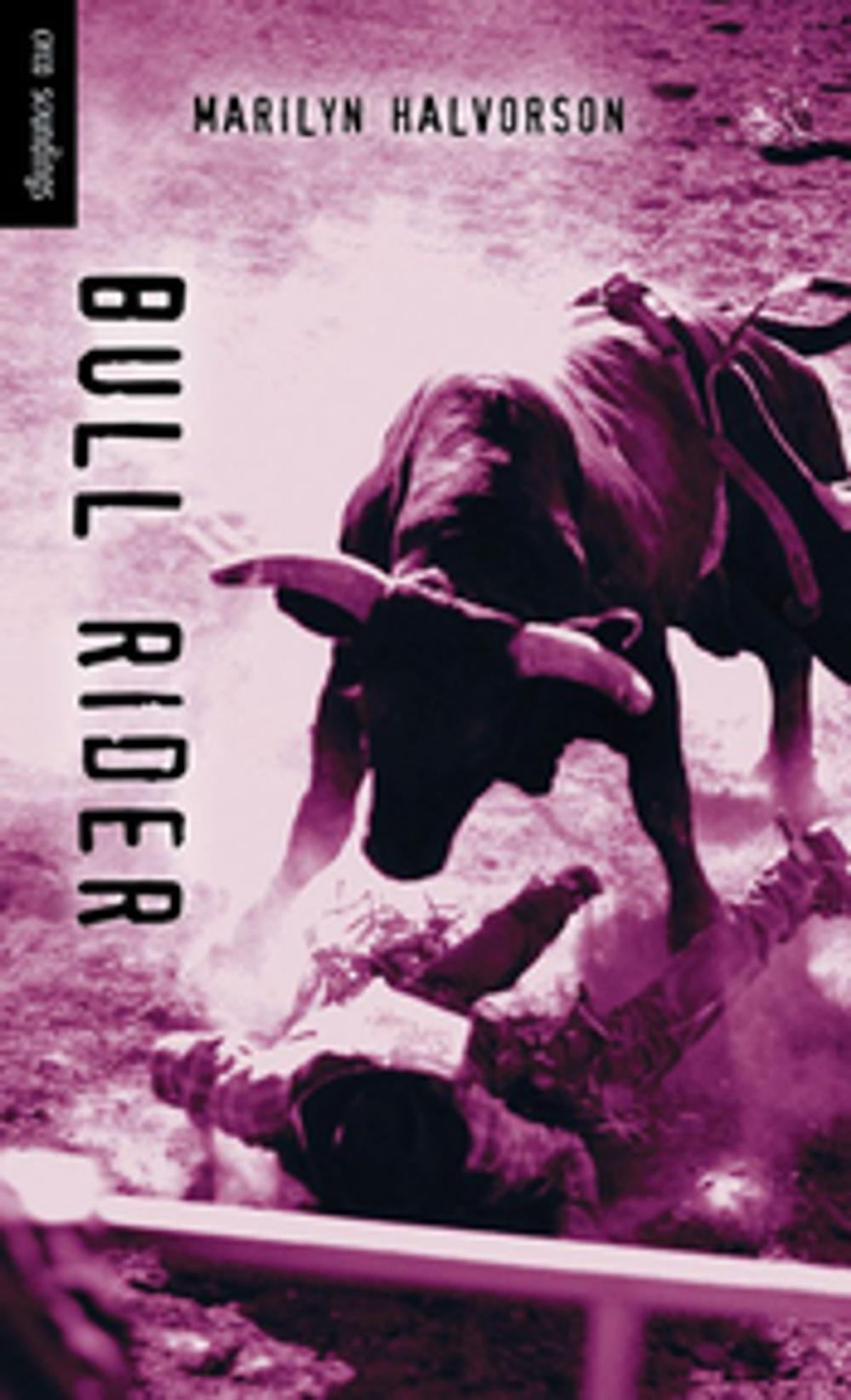 Big bigCover of Bull Rider