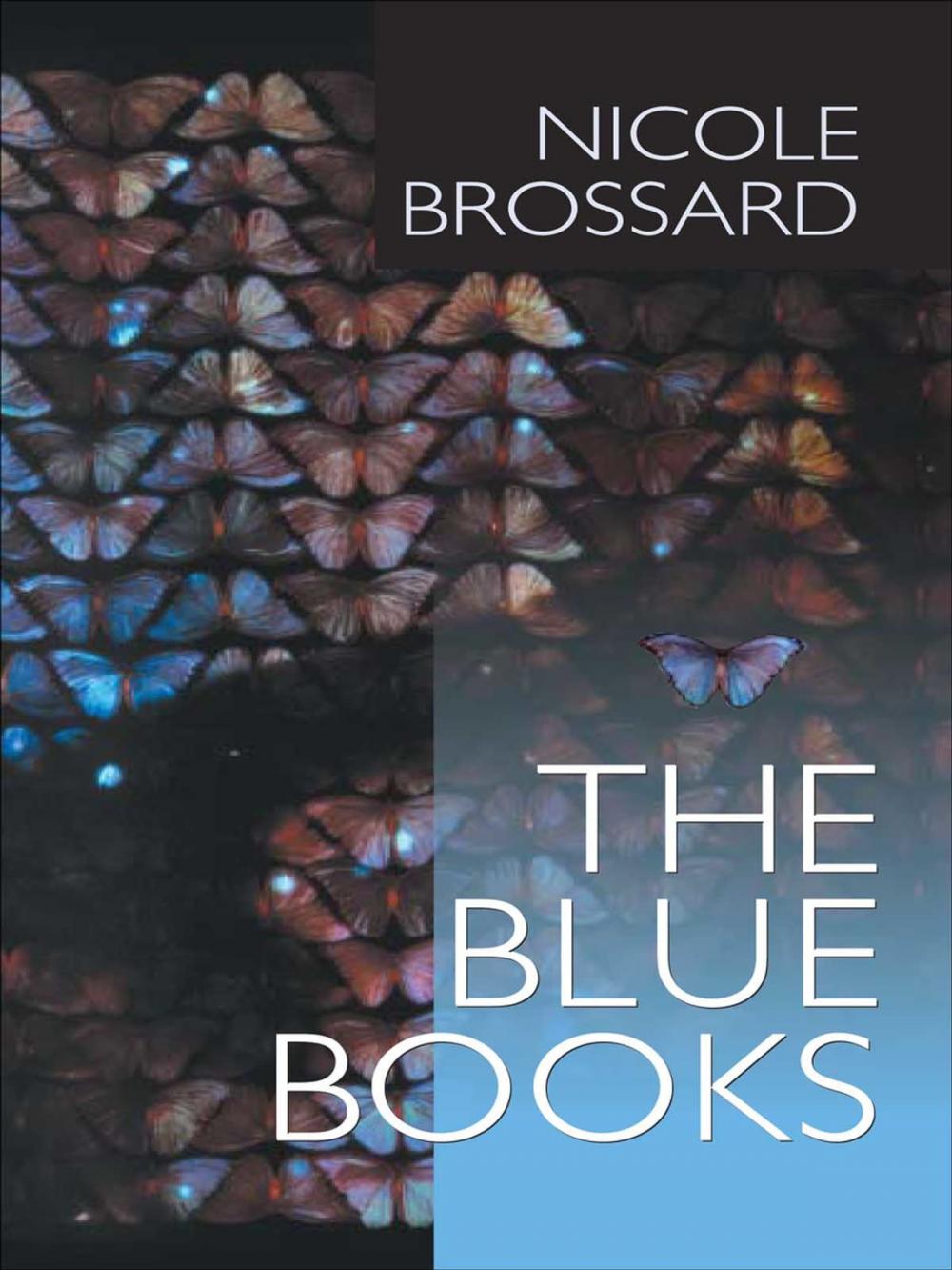 Big bigCover of The Blue Books