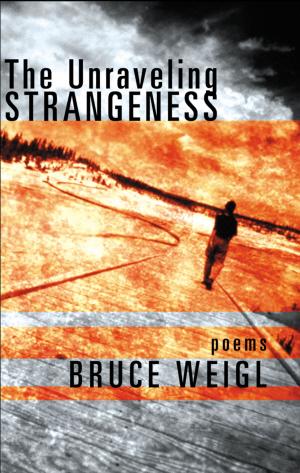 Book cover of The Unraveling Strangeness