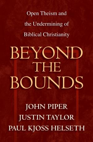 Cover of the book Beyond the Bounds by Greg Gilbert