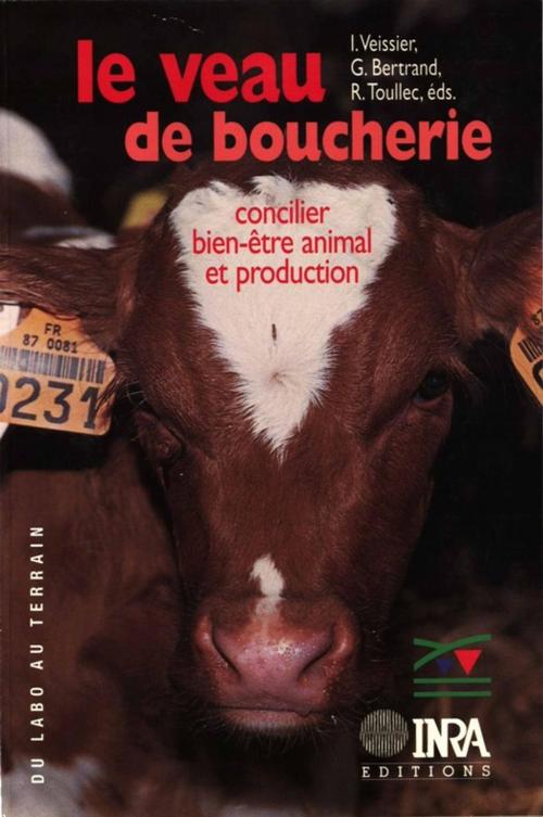 Cover of the book Le veau de boucherie by Gérard Bertrand, Isabelle Veissier, René Toullec, Quae