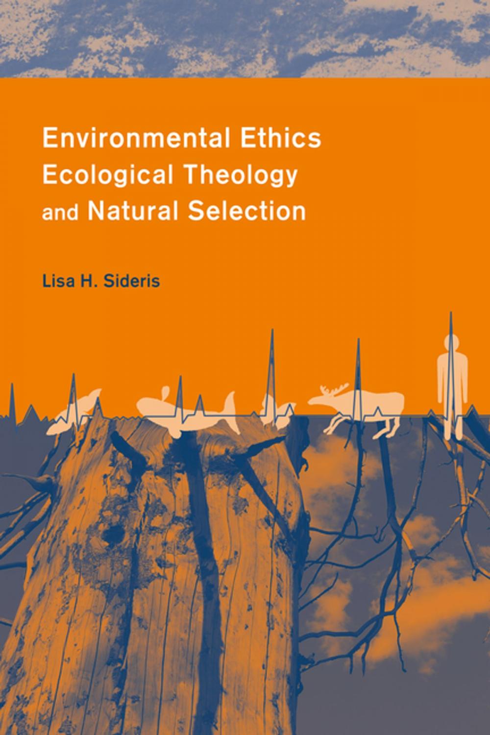 Big bigCover of Environmental Ethics, Ecological Theology, and Natural Selection