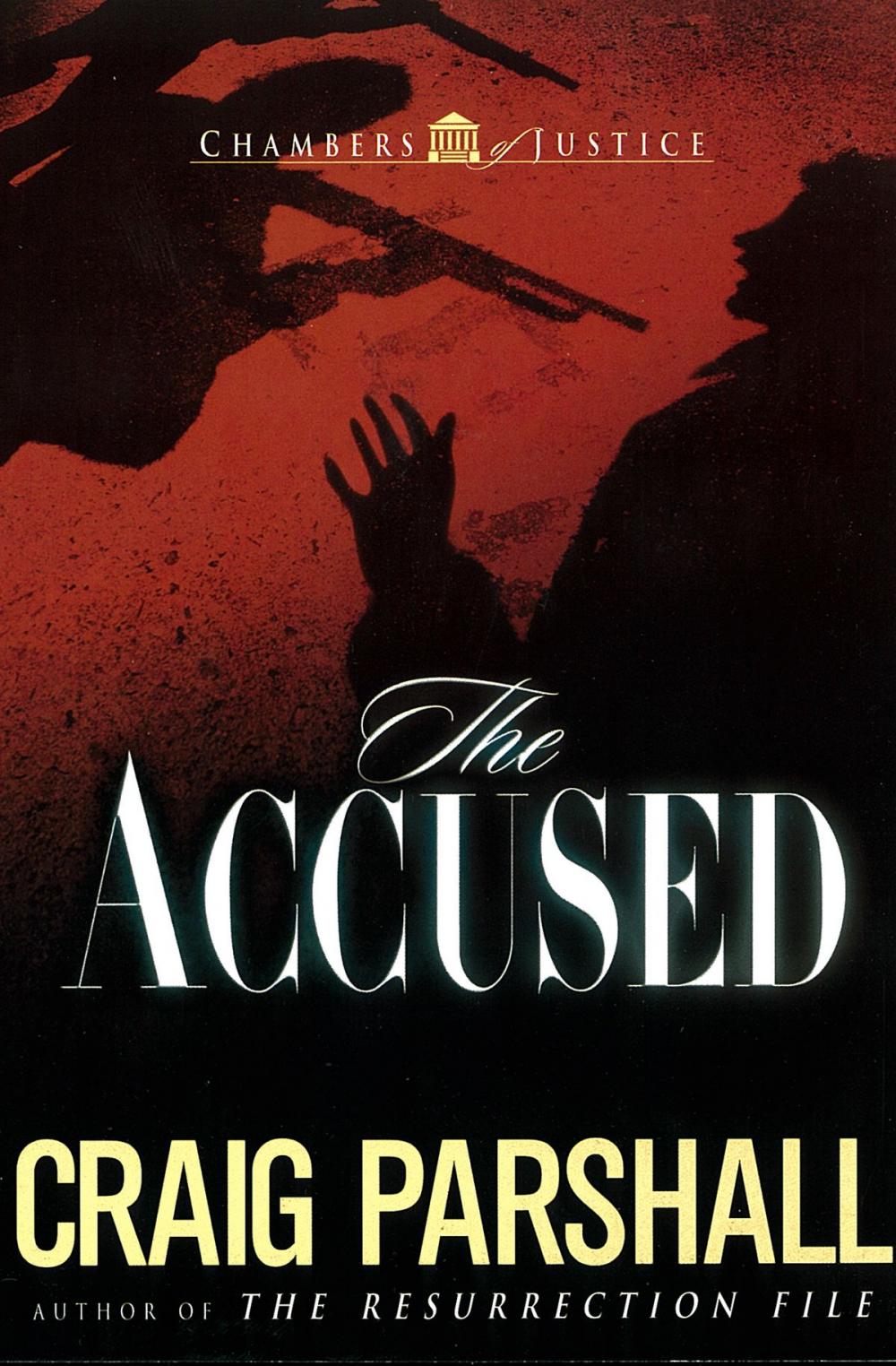 Big bigCover of The Accused