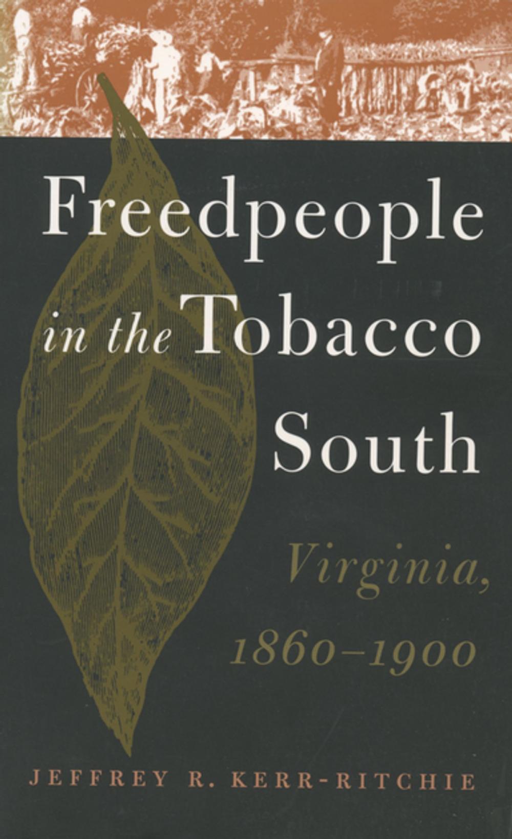 Big bigCover of Freedpeople in the Tobacco South