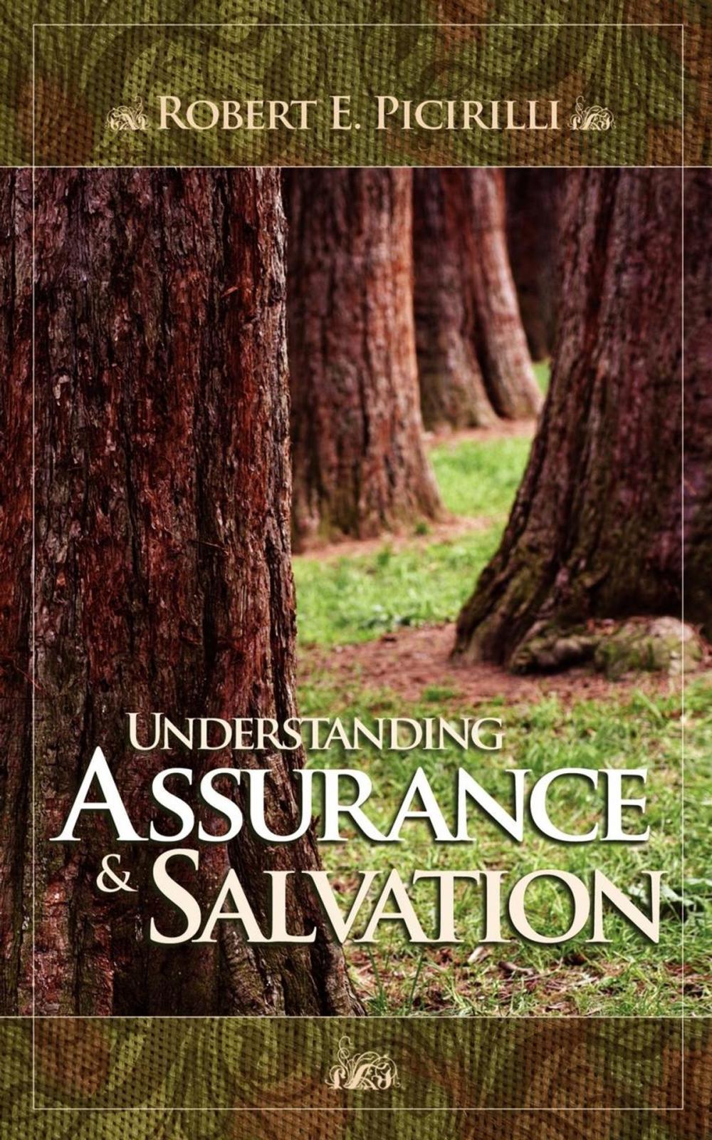 Big bigCover of Understanding Assurance and Salvation