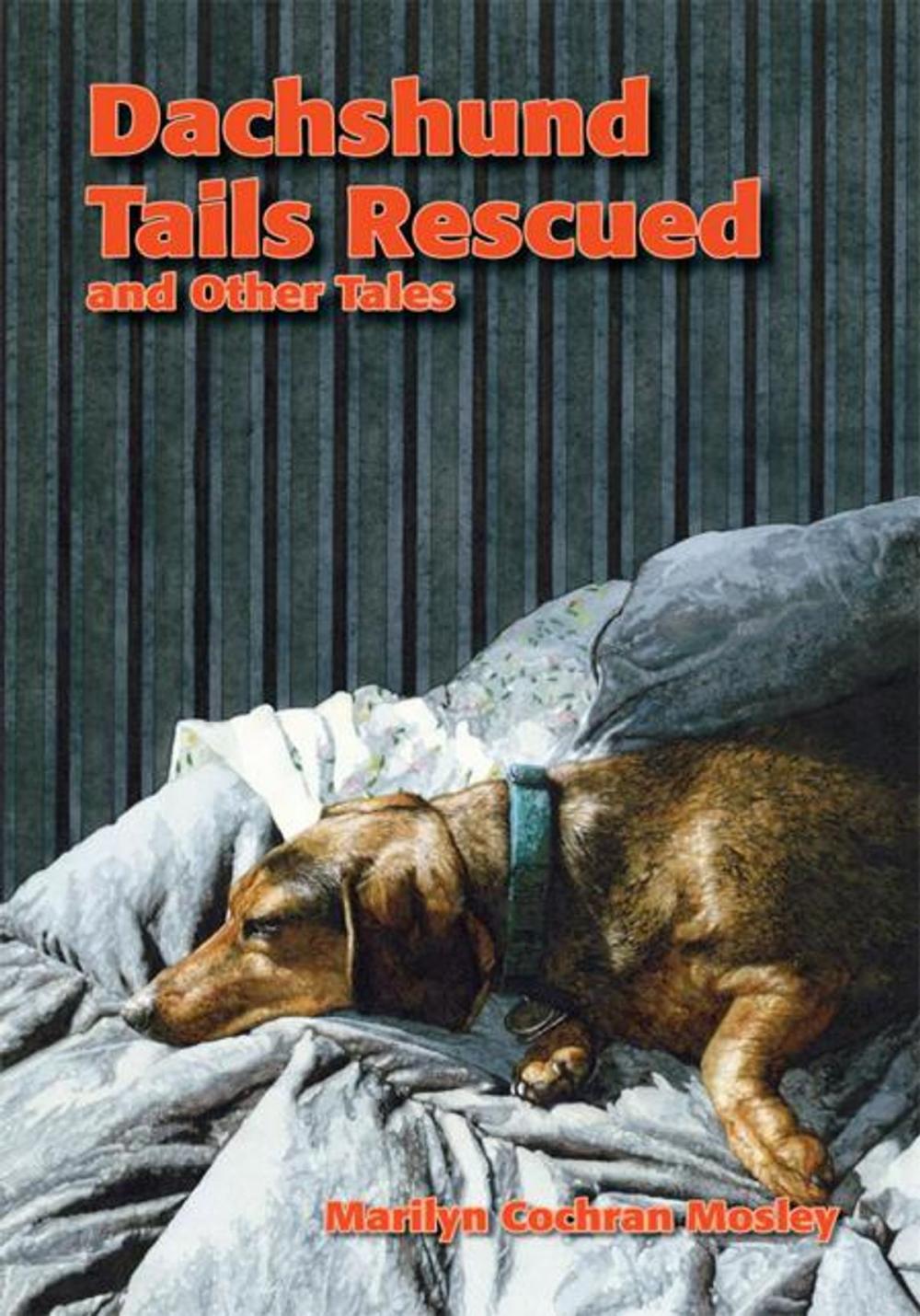 Big bigCover of Dachshund Tails Rescued and Other Tales