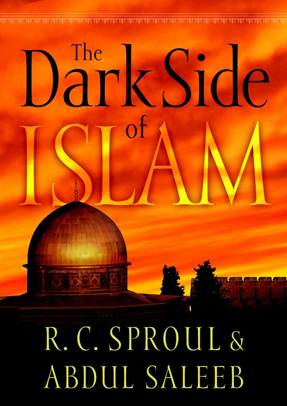 Big bigCover of The Dark Side of Islam