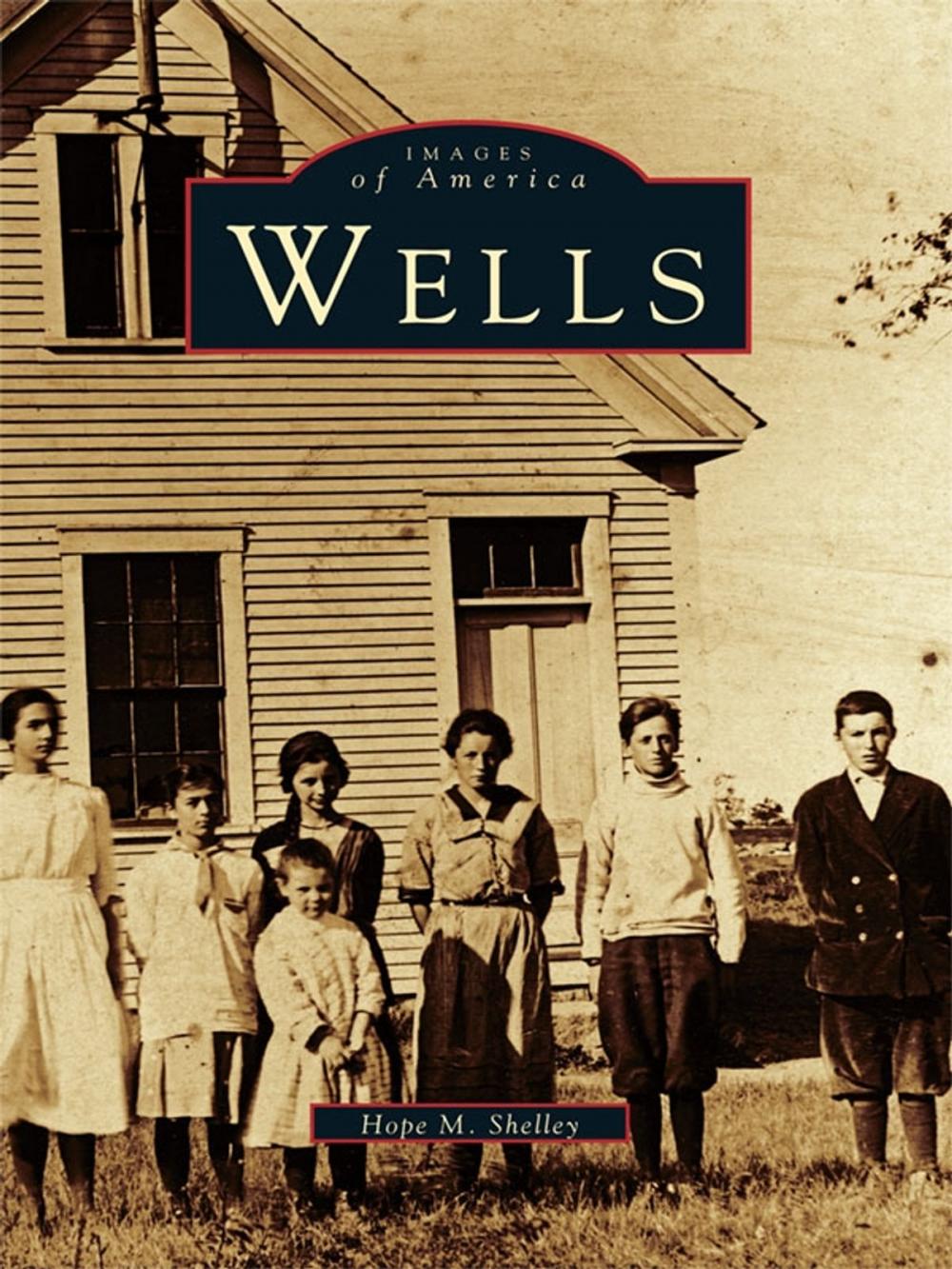 Big bigCover of Wells