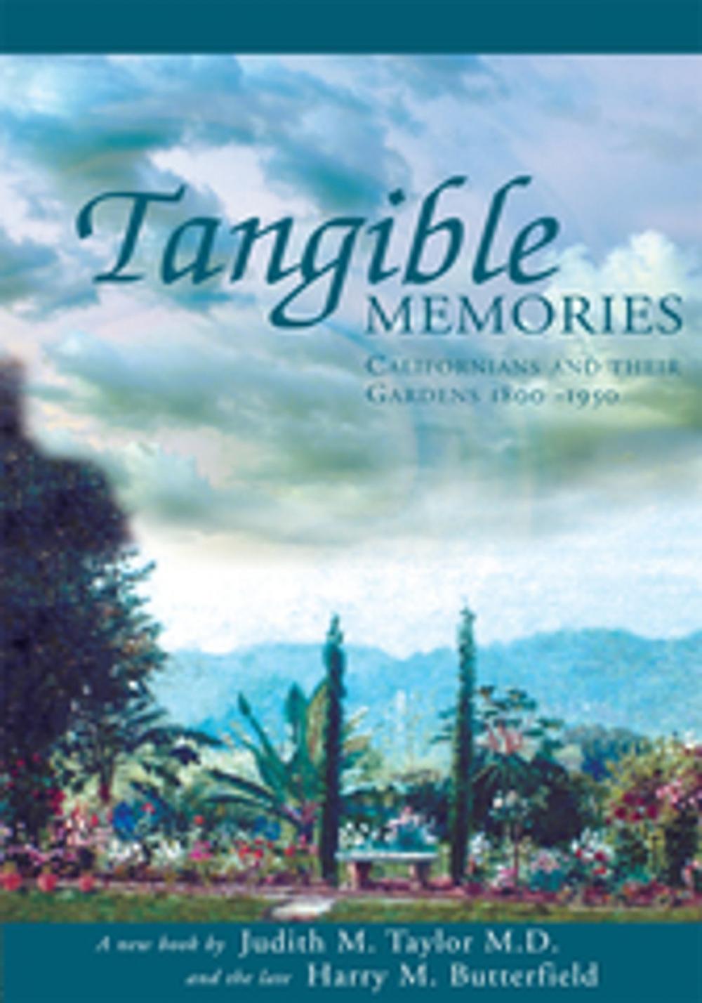 Big bigCover of Tangible Memories