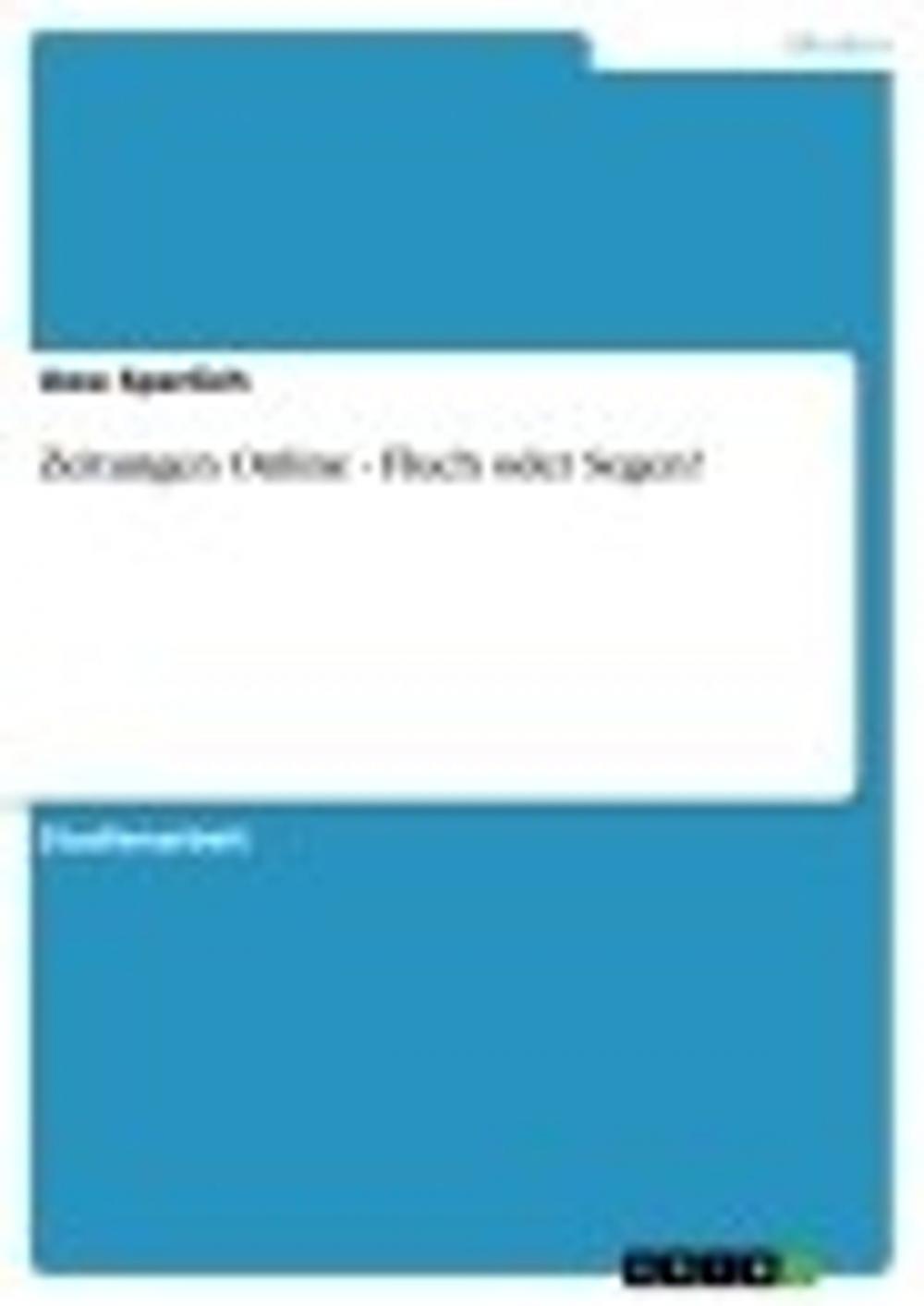 Big bigCover of Zeitungen Online - Fluch oder Segen?