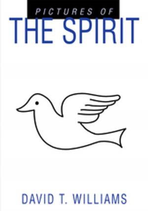 Book cover of Pictures of the Spirit