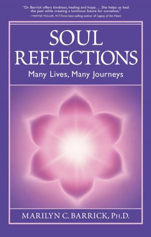 Cover of the book Soul Reflections by Terence P.  O'Halloran