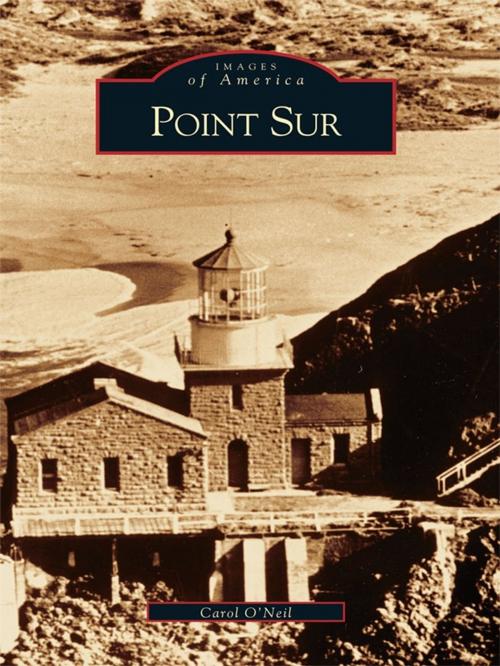 Cover of the book Point Sur by Carol O’Neil, Arcadia Publishing Inc.