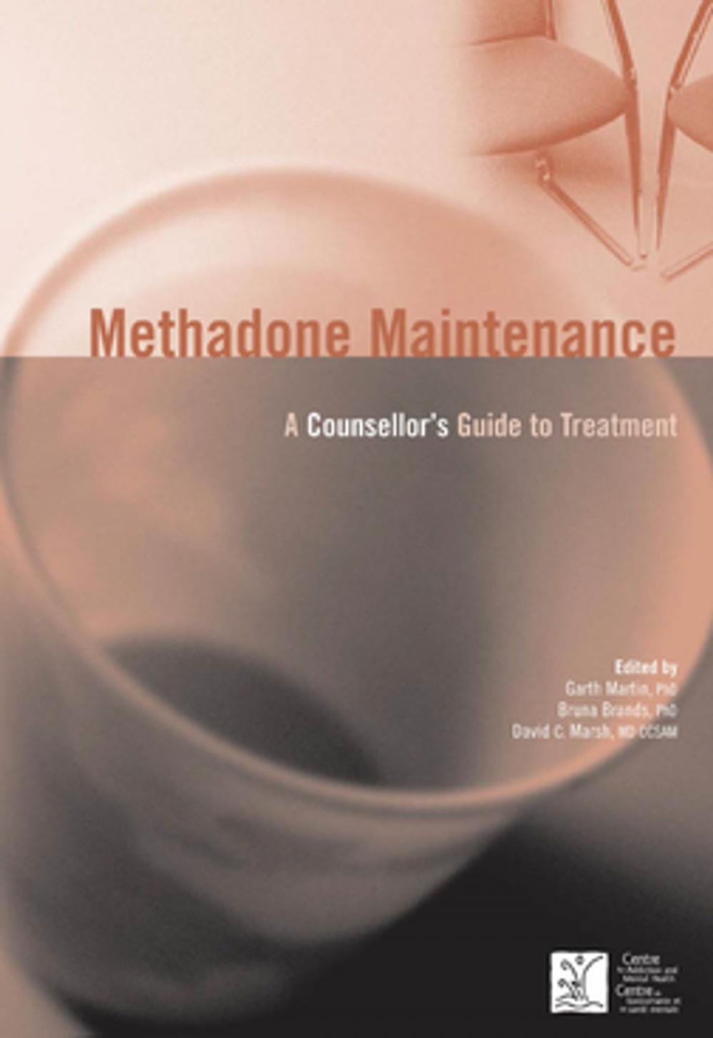 Big bigCover of Methadone Maintenance: A Counsellor's Guide to Treatment, 2nd Edition