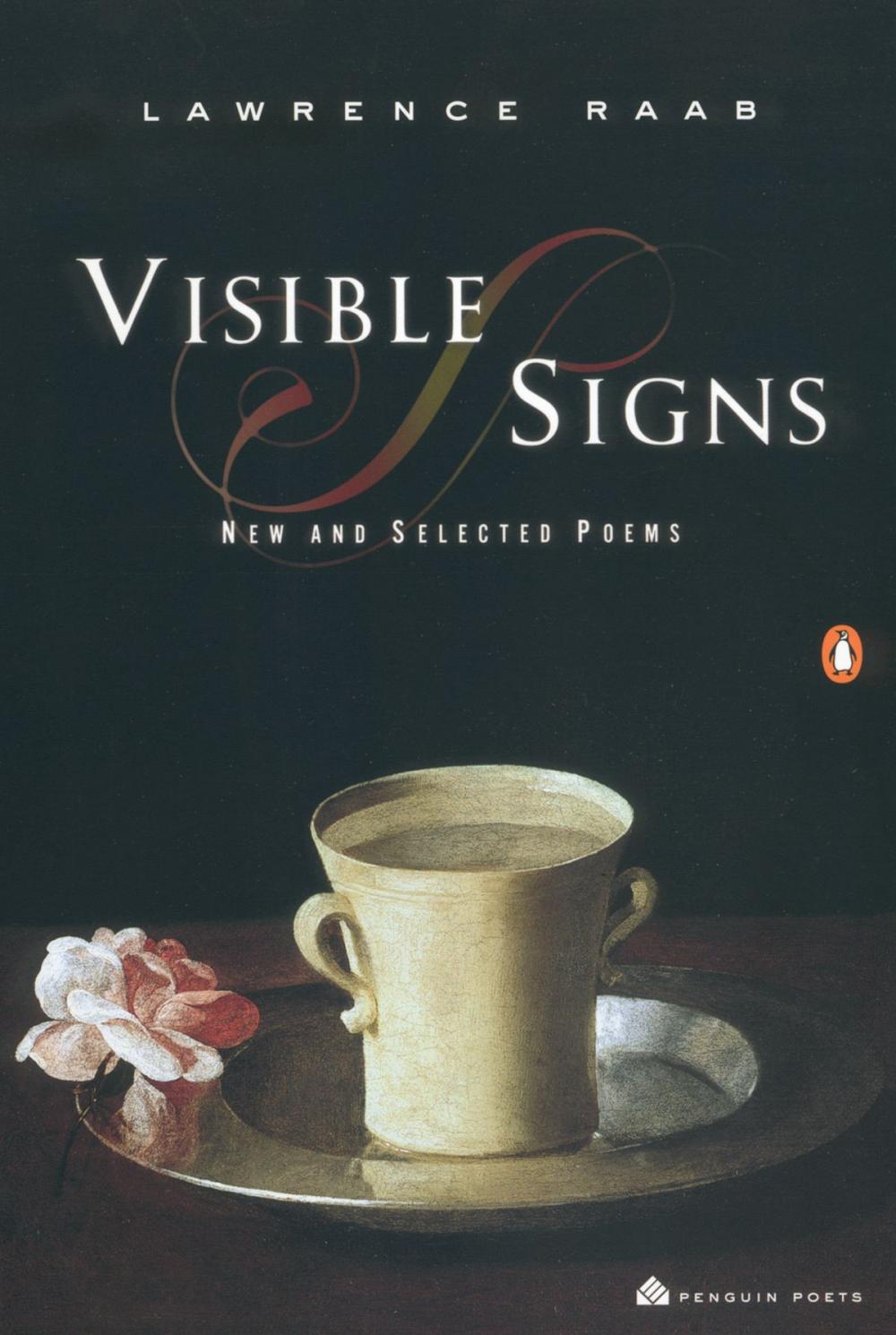 Big bigCover of Visible Signs