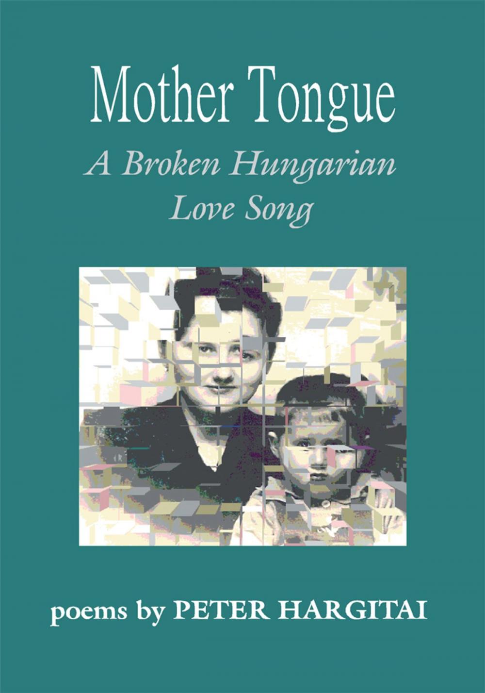 Big bigCover of Mother Tongue