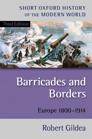Cover of the book Barricades and Borders by S.J. Connolly
