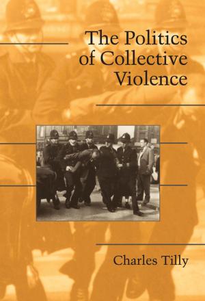 Cover of the book The Politics of Collective Violence by Vladimir A. Rakov, Martin A. Uman