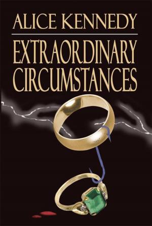 Cover of the book Extraordinary Circumstances by O. Grady Query