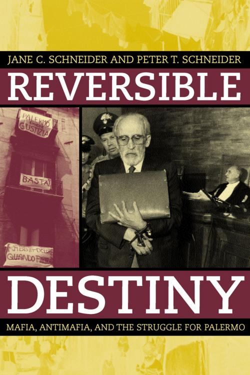 Cover of the book Reversible Destiny by Peter T. Schneider, Jane Schneider, University of California Press