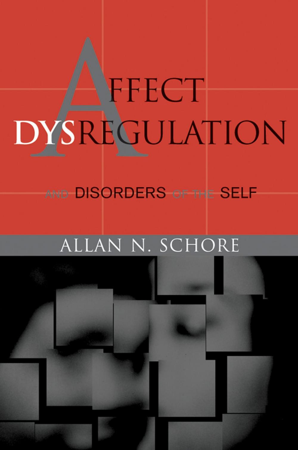 Big bigCover of Affect Dysregulation and Disorders of the Self (Norton Series on Interpersonal Neurobiology)