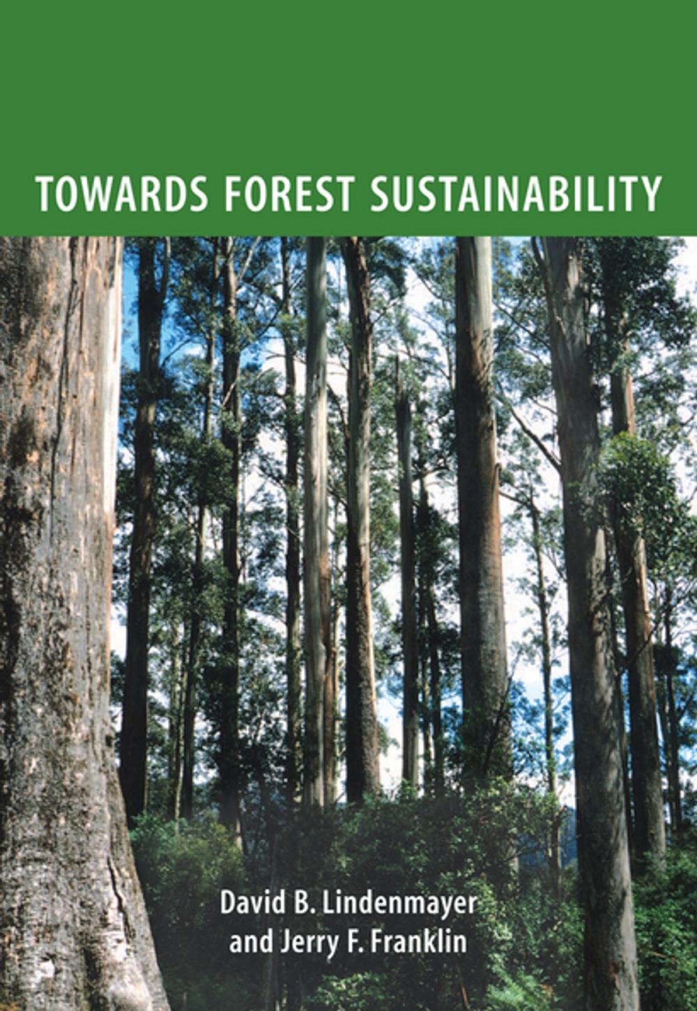 Big bigCover of Towards Forest Sustainability