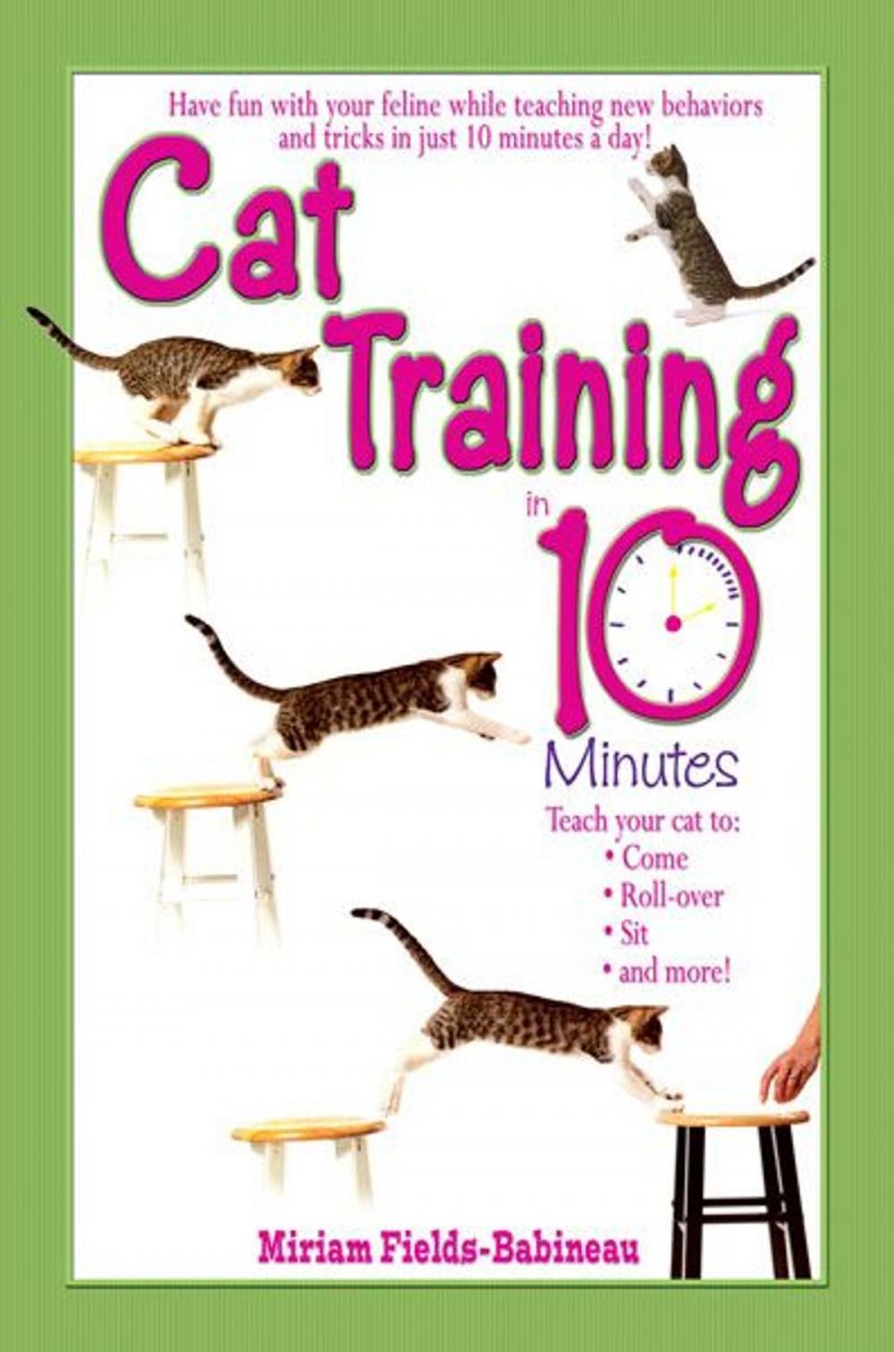 Big bigCover of Cat Training in 10 Minutes