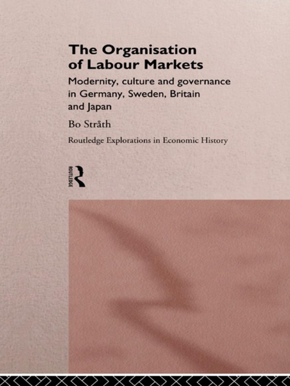 Big bigCover of The Organization of Labour Markets