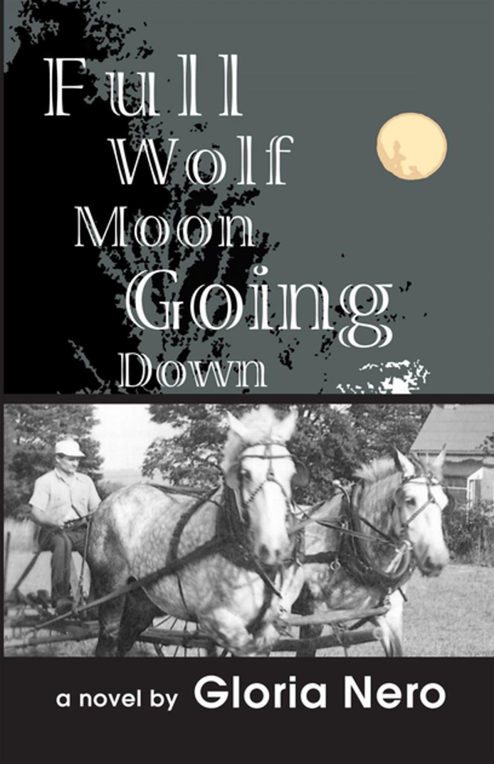 Big bigCover of Full Wolf Moon Going Down