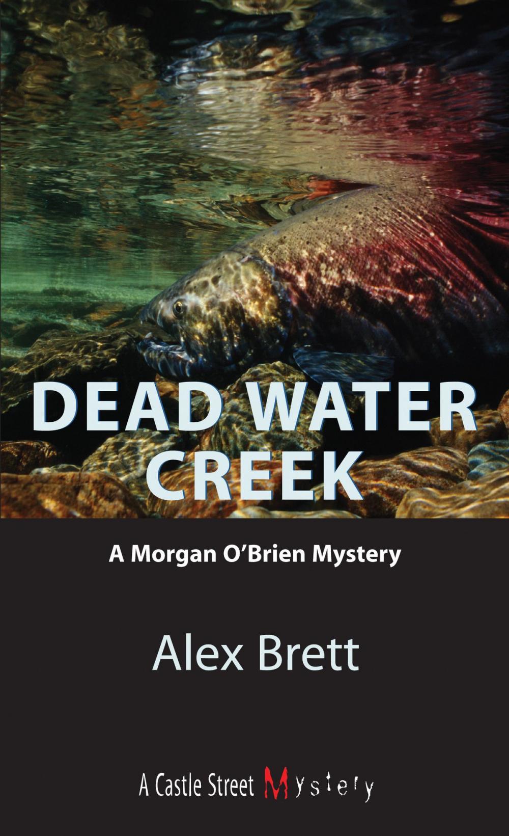 Big bigCover of Dead Water Creek