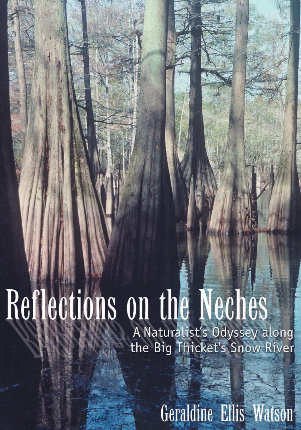 Big bigCover of Reflections on the Neches