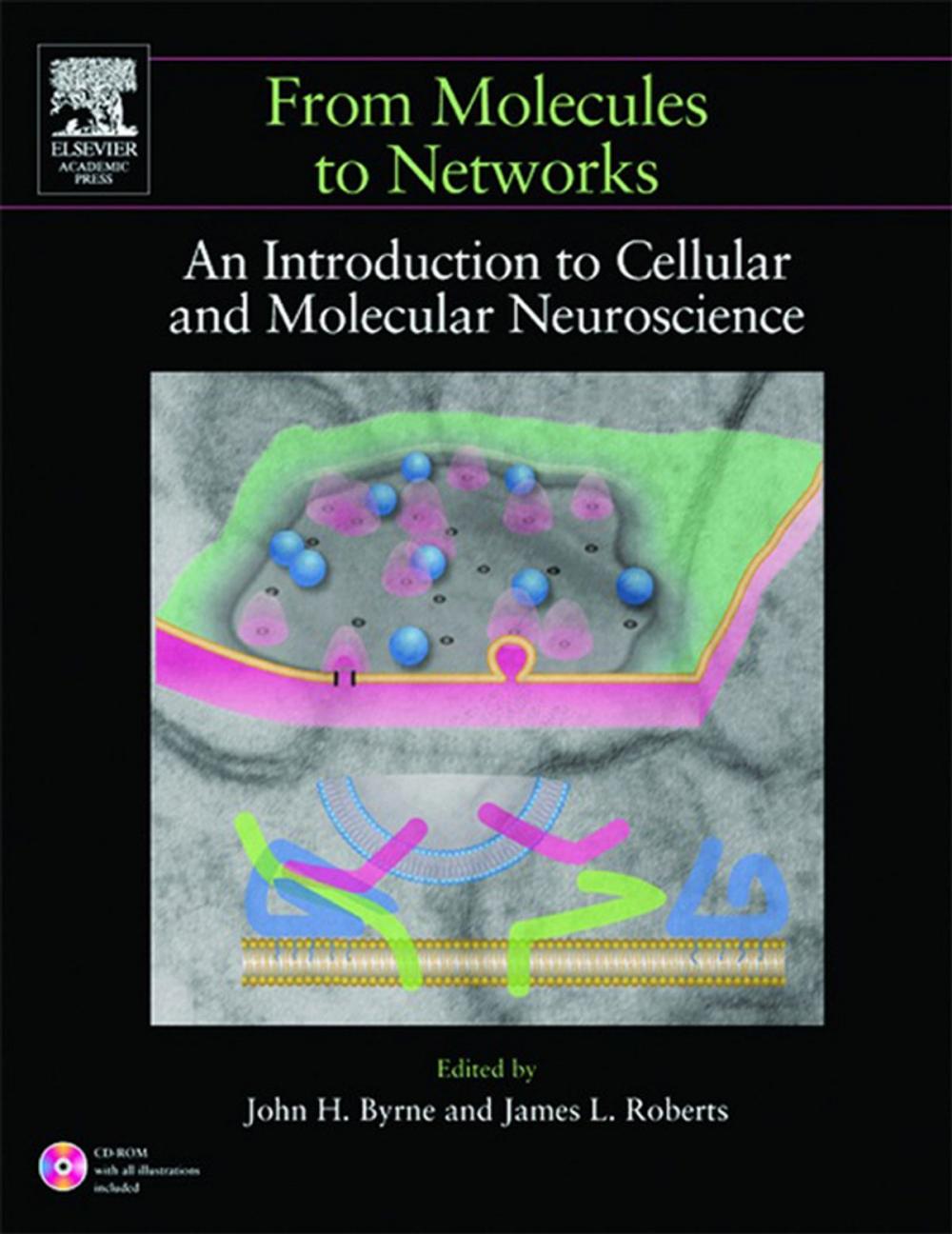 Big bigCover of From Molecules to Networks