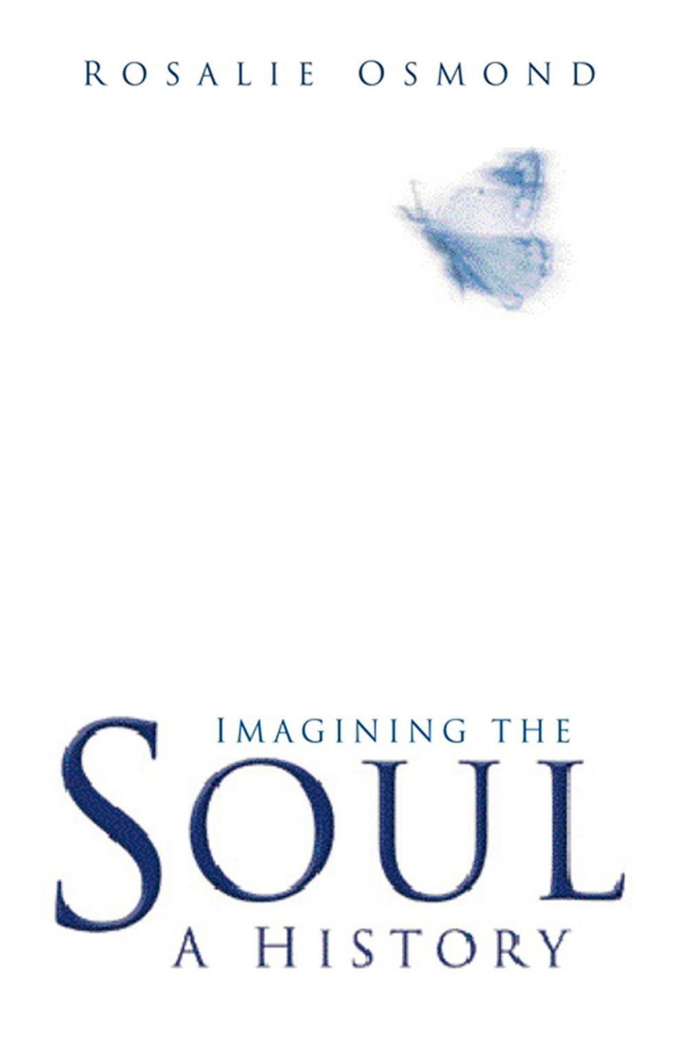 Big bigCover of Imagining the Soul