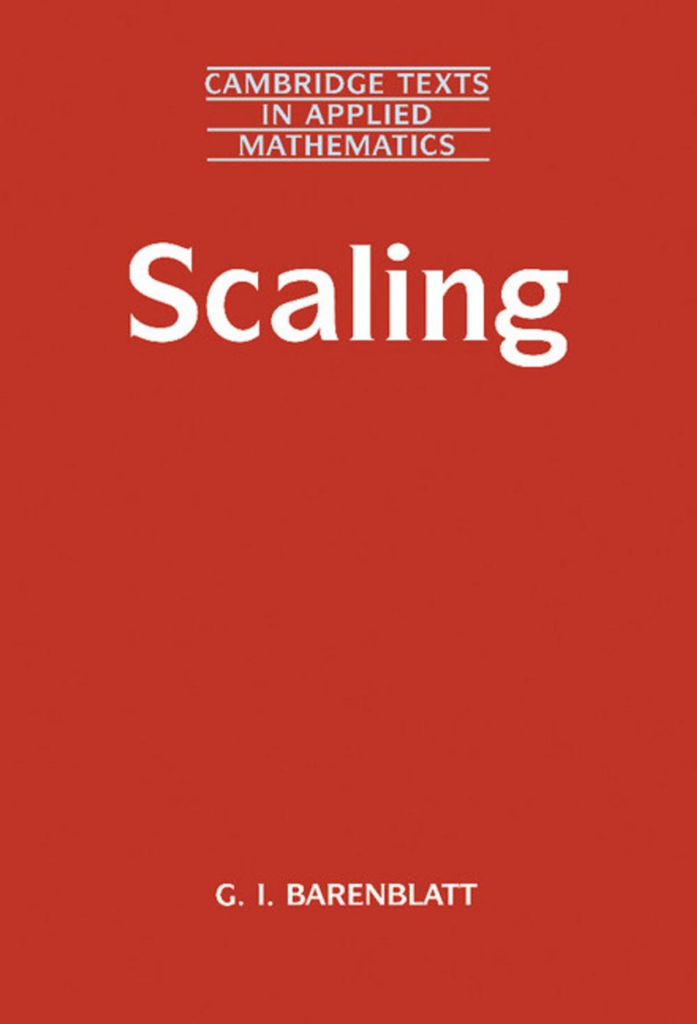 Big bigCover of Scaling