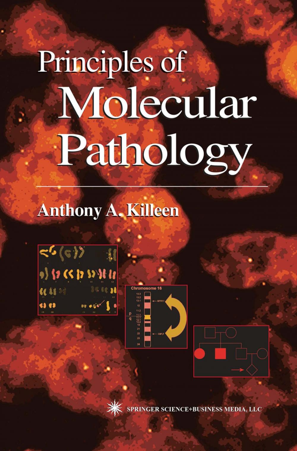 Big bigCover of Principles of Molecular Pathology