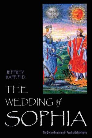 Cover of the book The Wedding of Sophia by Agneta Borstein