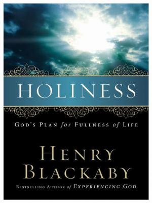 Cover of the book Holiness by Roger Elwood