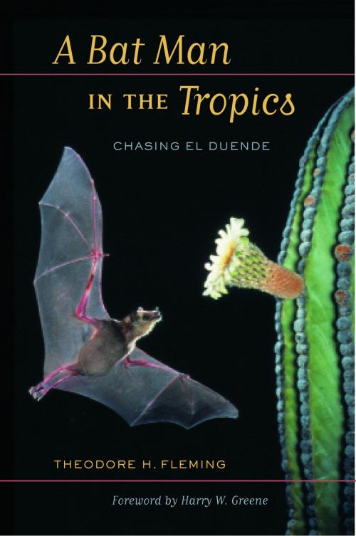 Cover of the book A Bat Man in the Tropics by Theodore Fleming, University of California Press