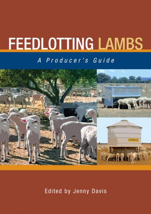Cover of the book Feedlotting Lambs by , Landlinks Press