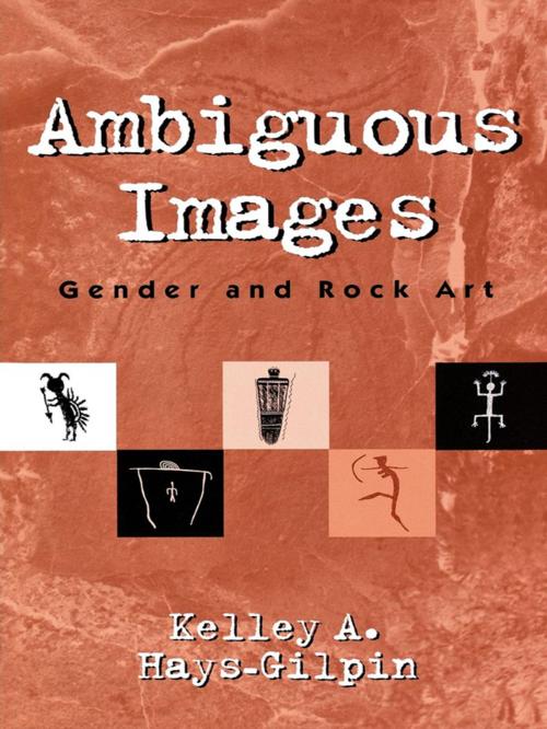 Cover of the book Ambiguous Images by Kelley Hays-Gilpin, AltaMira Press