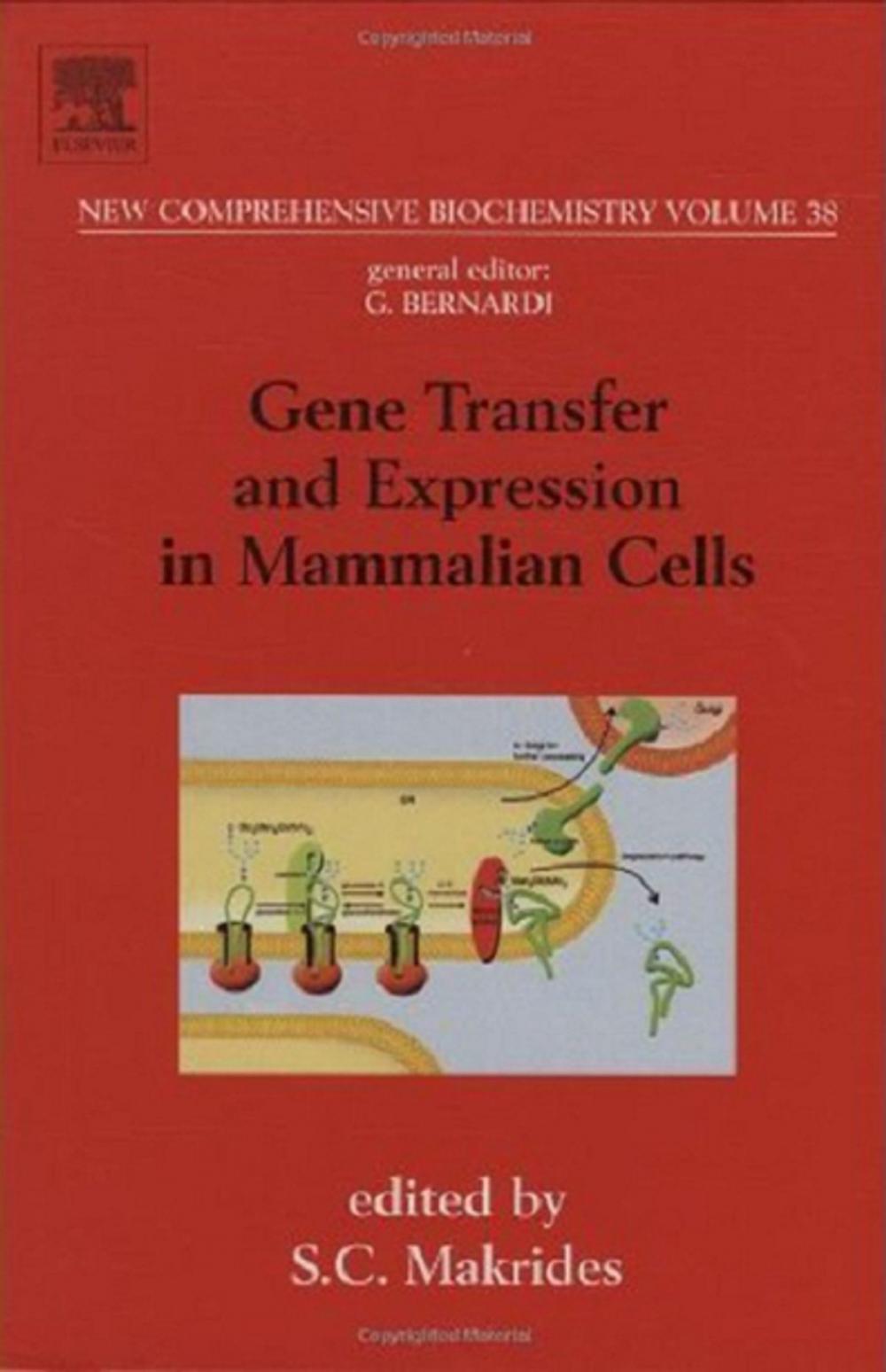 Big bigCover of Gene Transfer and Expression in Mammalian Cells