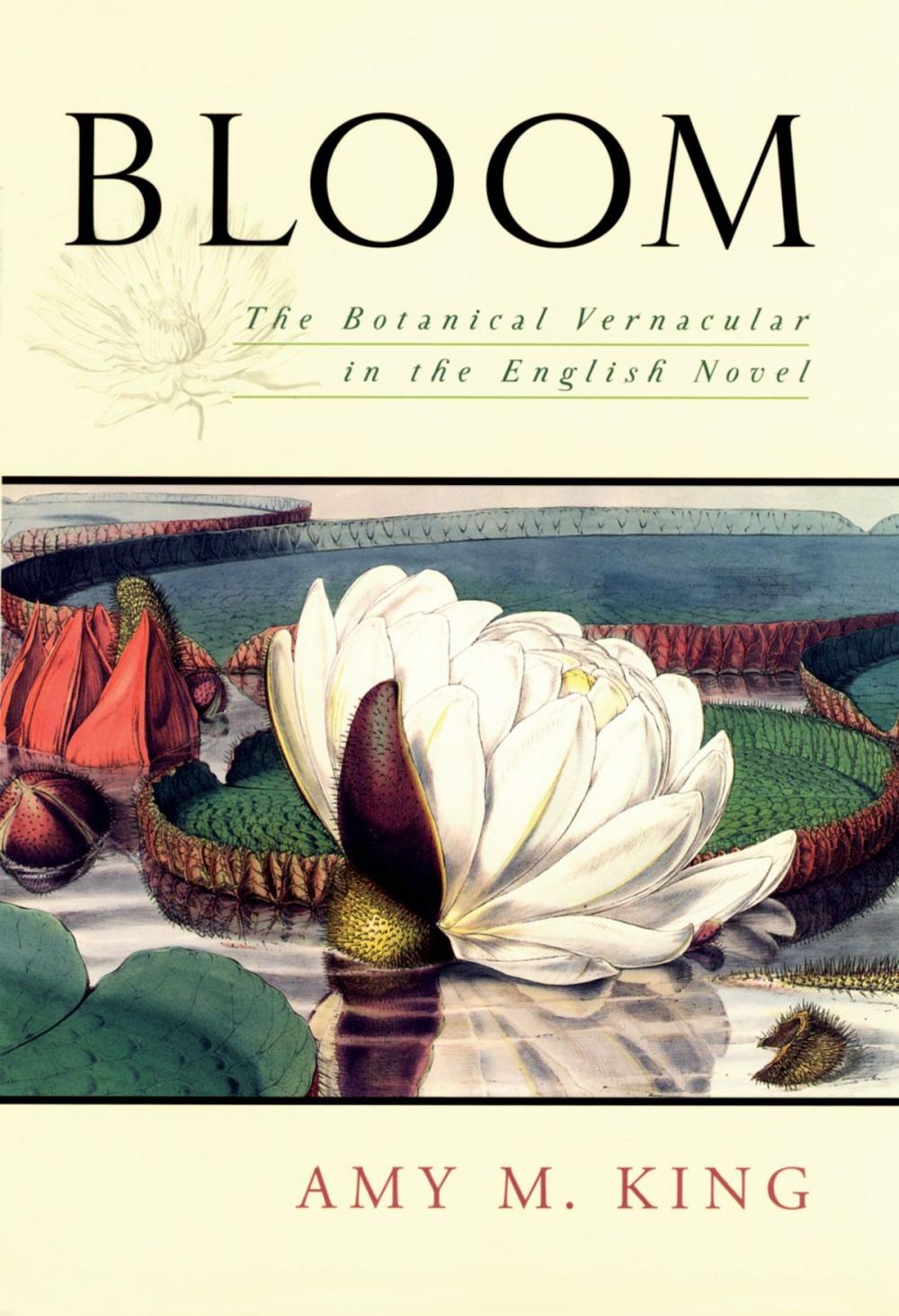 Big bigCover of Bloom